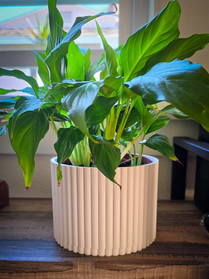 White Ribbed Cachepot Planter