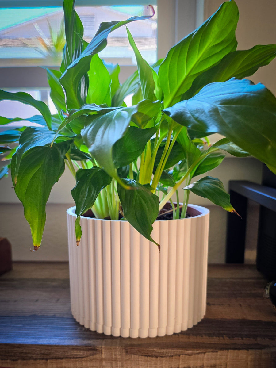 Planters