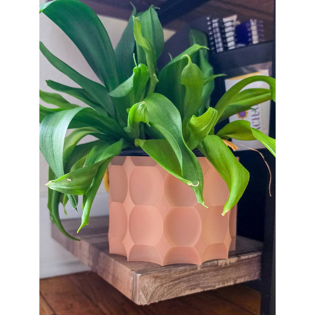 Terracotta honeycomb cachepot planter, 3D printed