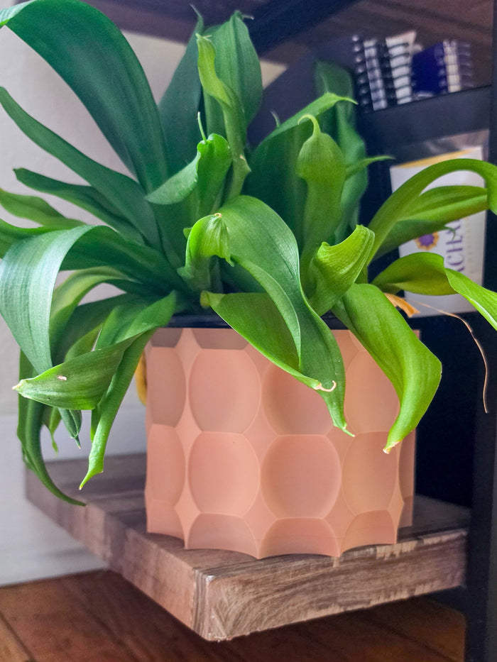 Terracotta Honeycomb Cachepot Planter