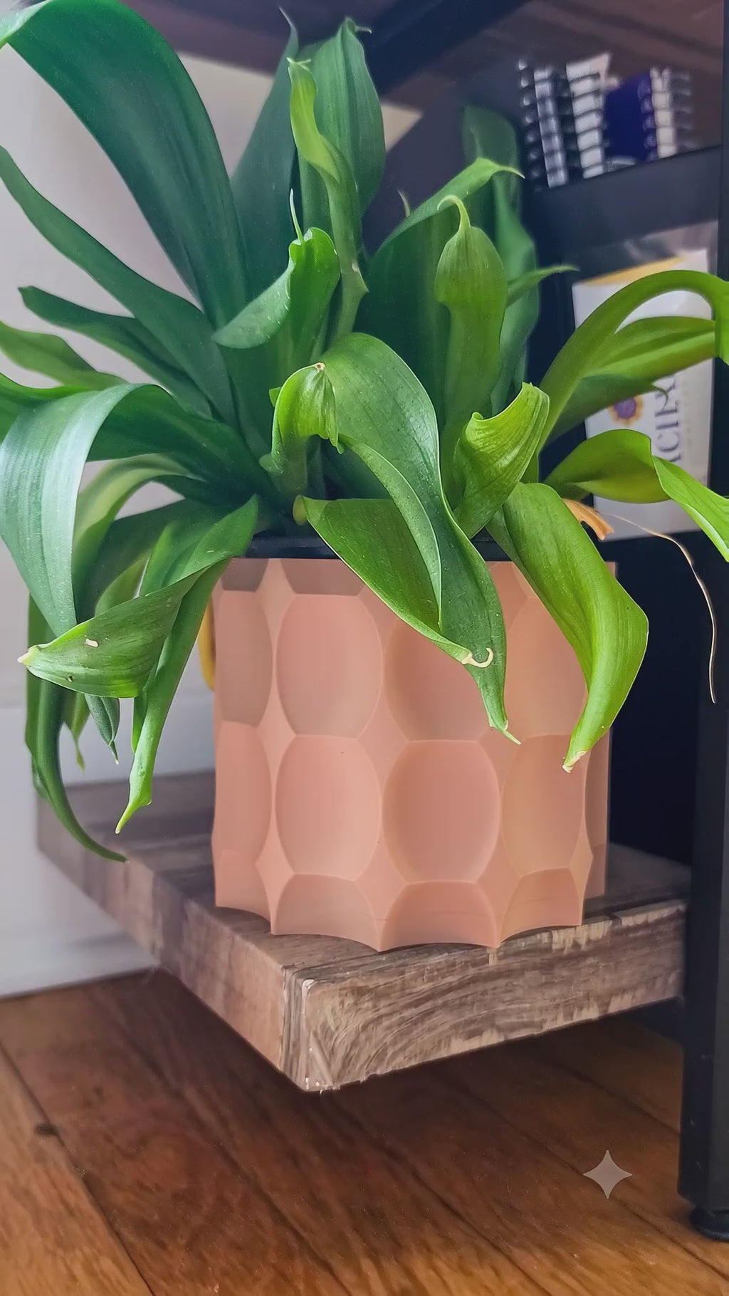Terracotta Honeycomb Cachepot Planter